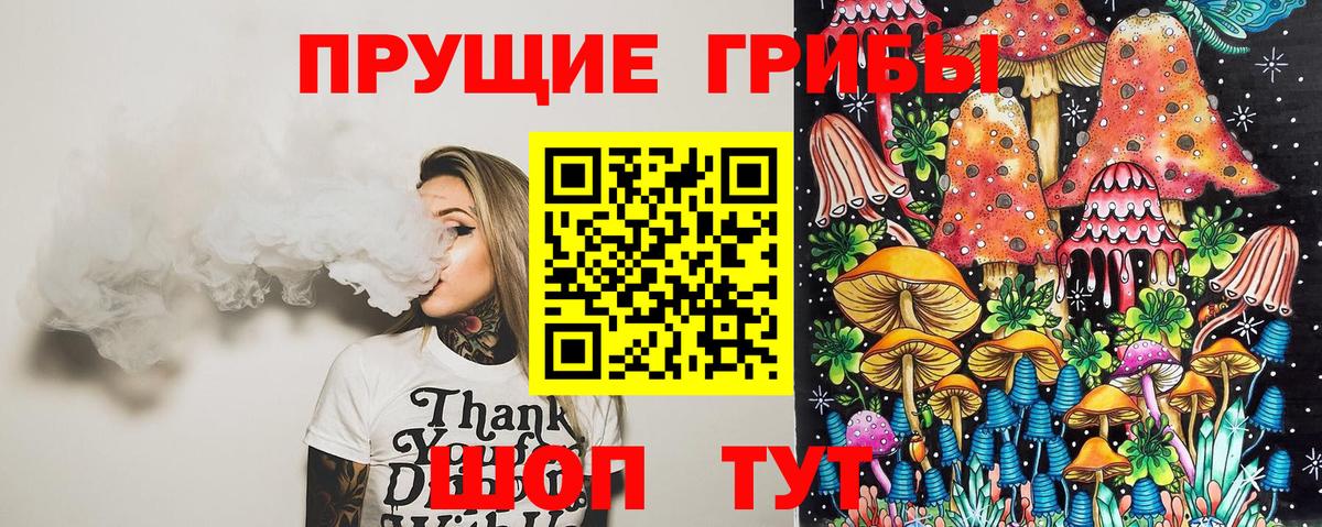 Псилоцибиновые грибы ЛСД  Вход с VPN  Камышлов  Псилоцибиновые грибы GOLDEN TEACHER 